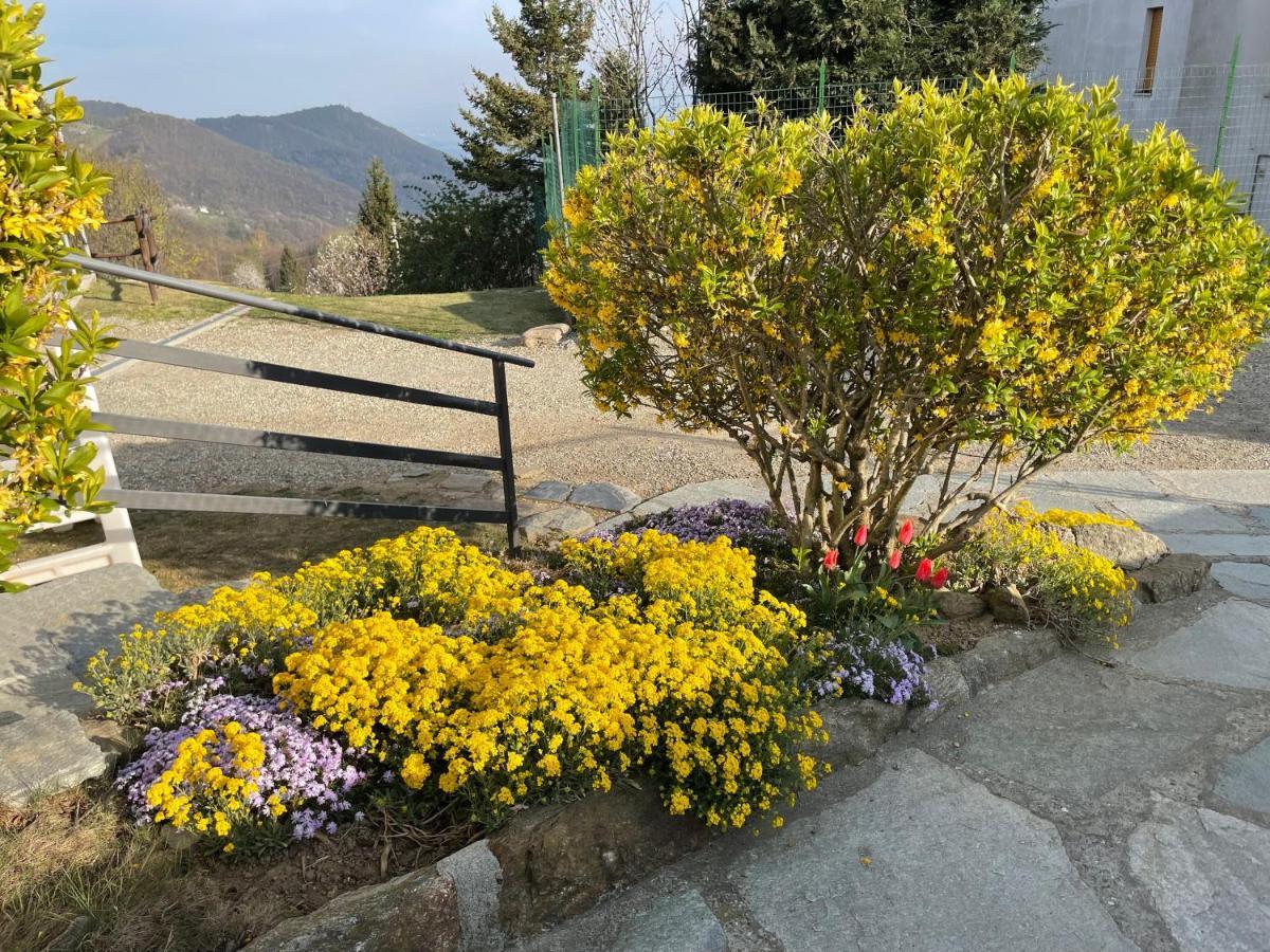 Camere Villa Lunardini Frassinetto  ภายนอก รูปภาพ